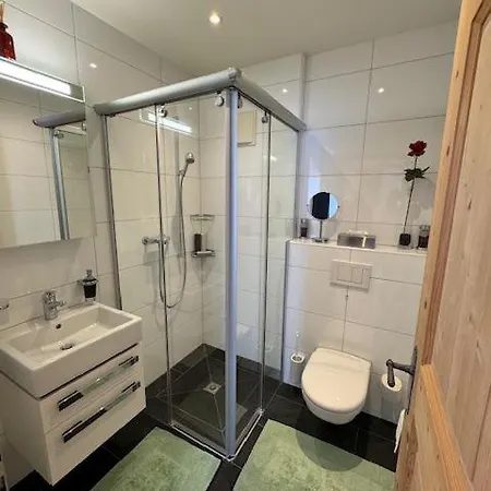 Modern Flat With View 达沃斯